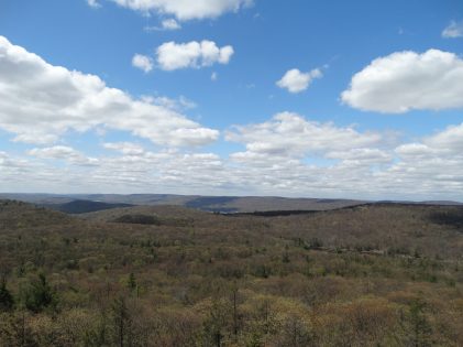 360 degree views from the fire tower.