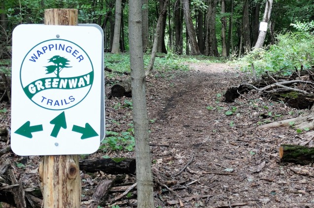 Wappinger Greenway Trails logo