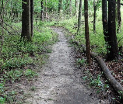 Upper Nyack Trail