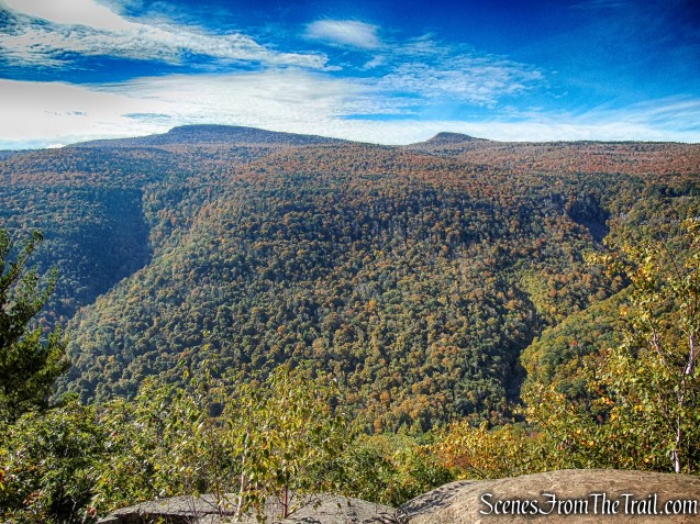 view from Escarpment Trail