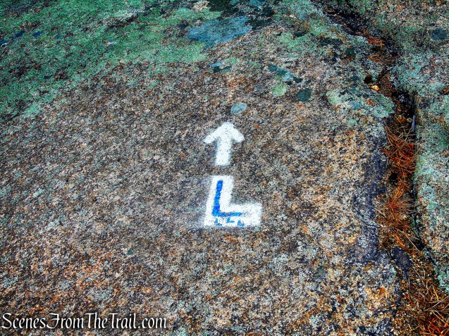 turn left on Lichen Trail
