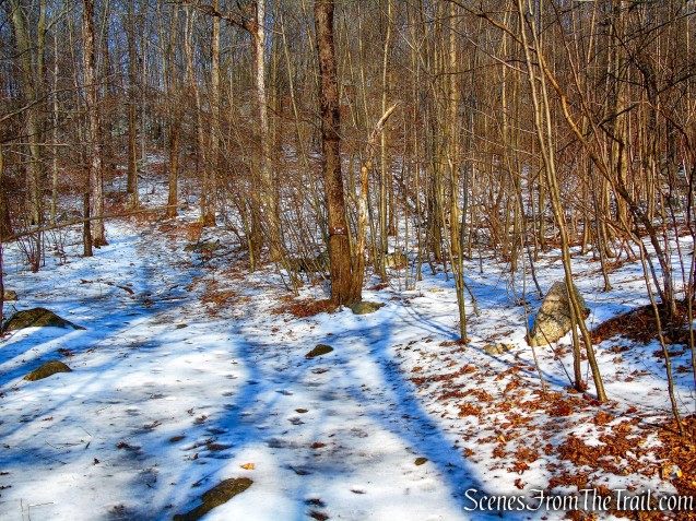 Turn right, leaving the woods road - Doris Duke Trail
