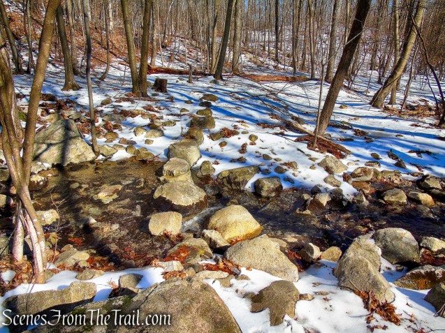 Doris Duke Trail crosses the stream on stepping stones