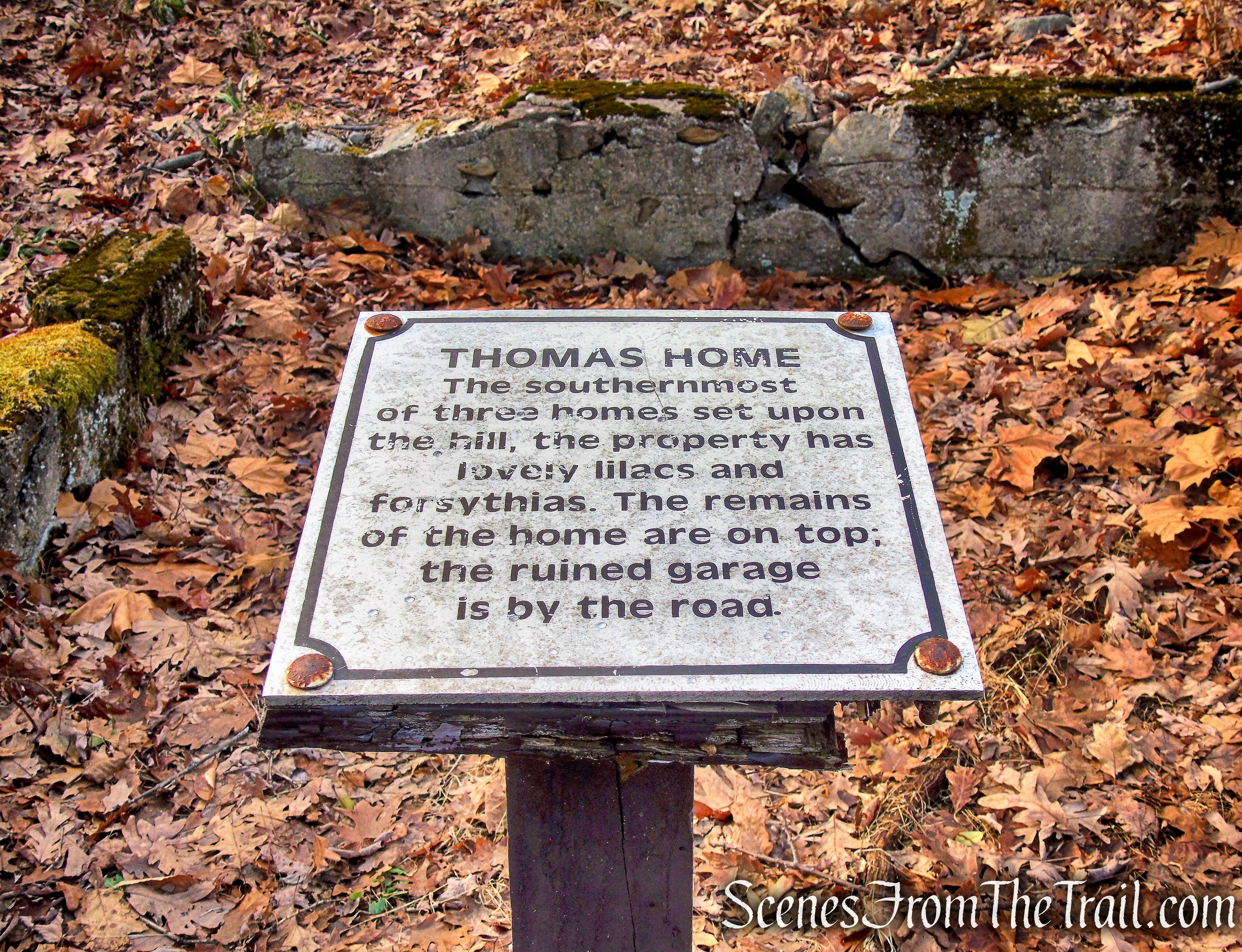 site of the Thomas home - Doodletown