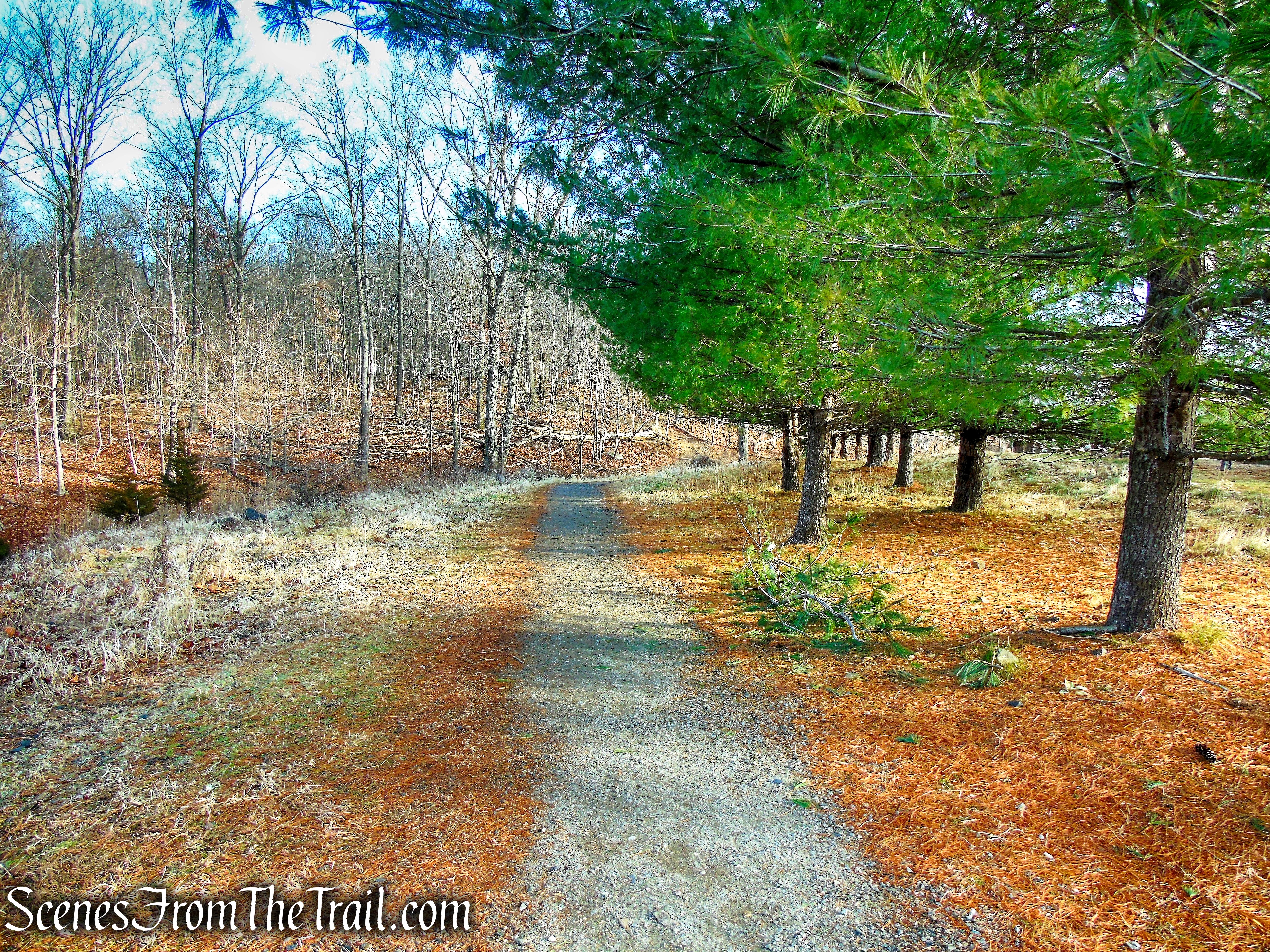 gravel path - College Road Trailhead