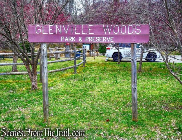 Glenville Woods Park Preserve