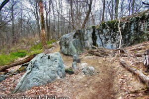 Blue Trail - Taxter Ridge Park Preserve