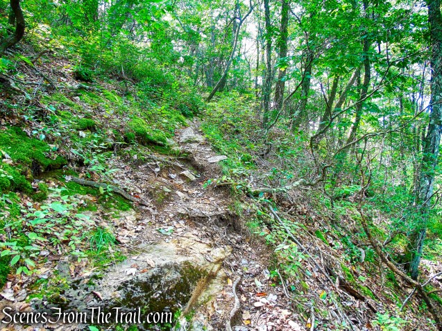 Mattabesett Trail - Mica Ledges Preserve