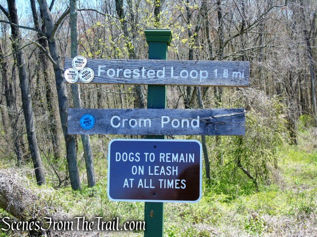 Forested Loop Trail - FDR State Park