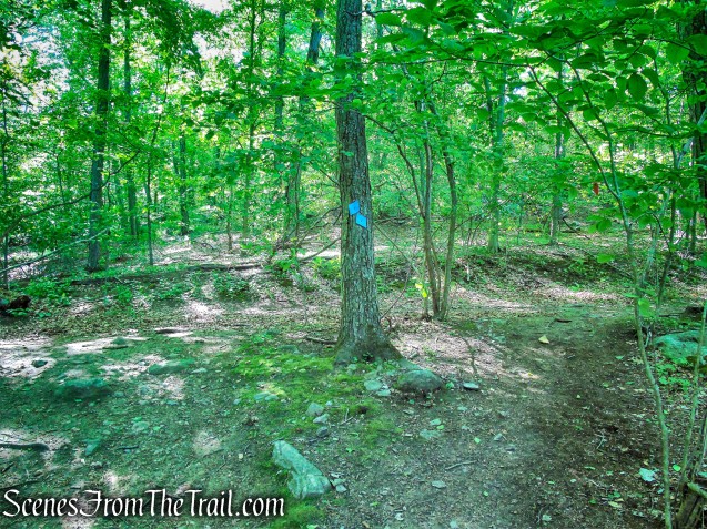 Blue Trail - Whippoorwill Park