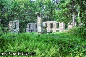 Black Mansion ruins - Leon Levy Preserve