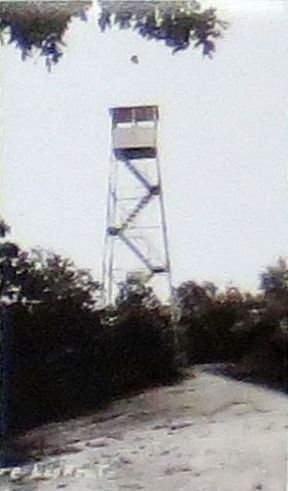 steel fire tower - Mohawk State Forest