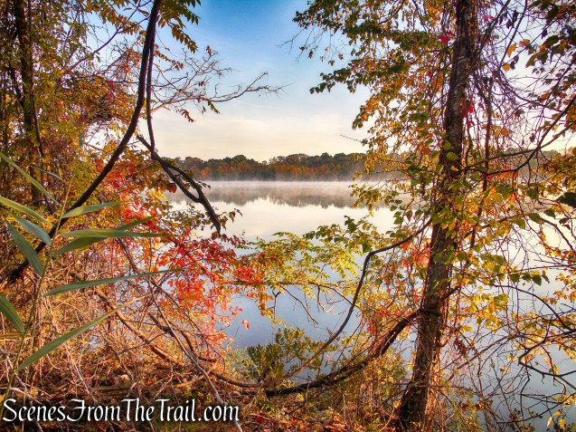 Shoreline Loop Trail - Franklin Lakes Nature Preserve