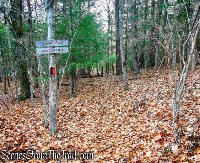 Red Trail – Prospect Mountain Preserve