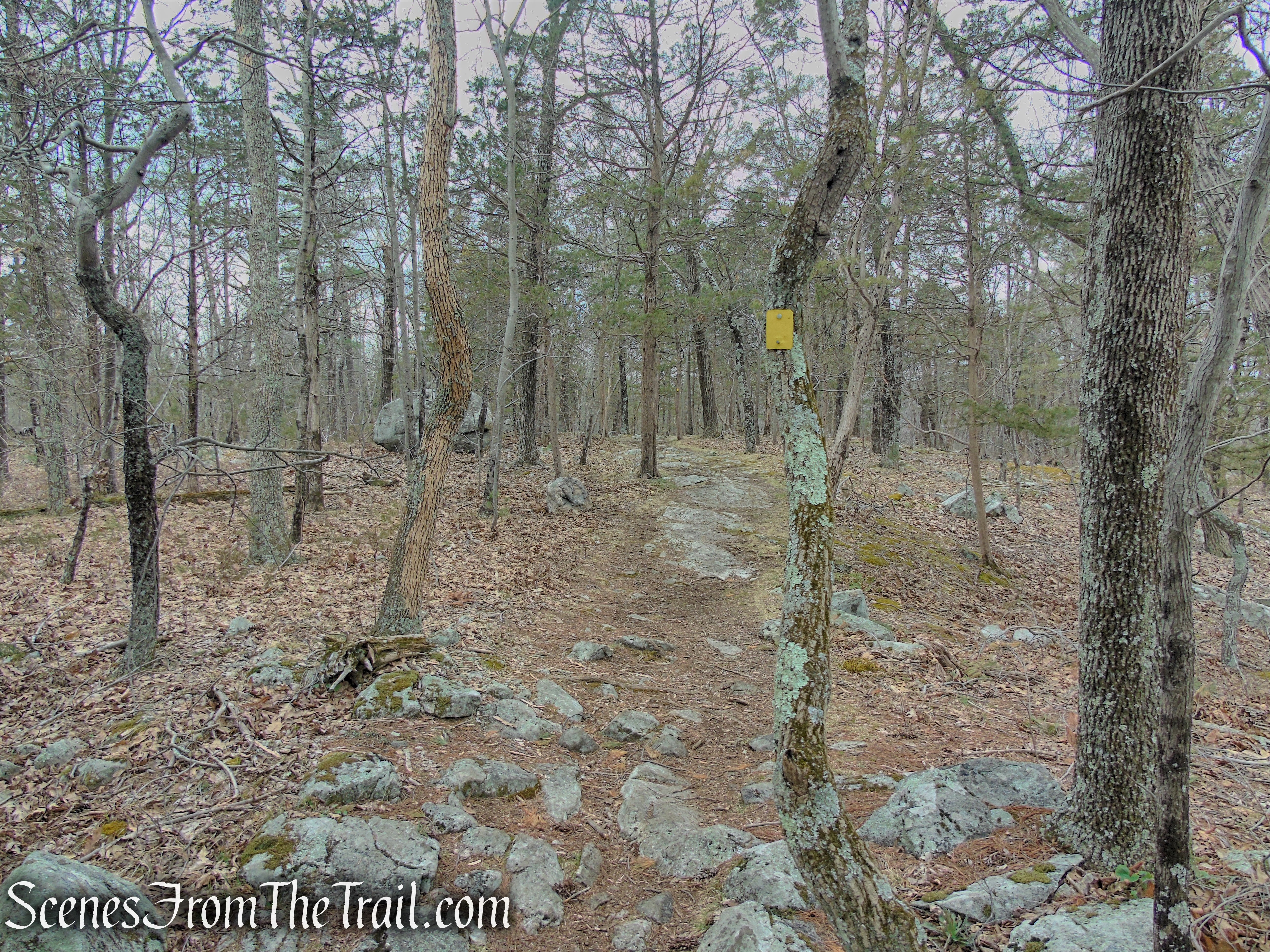 Cooper Union Trail – Ringwood State Park
