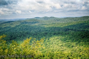 Oscawana Ridge Trail June 2021 - Fahnestock State Park