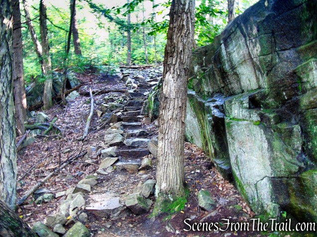 Scenic Trail - Black Rock Forest