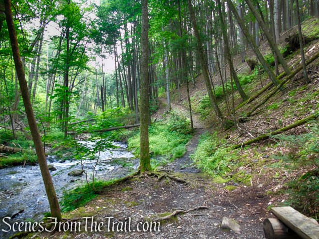 Upper Hornbecks Creek Trail – Delaware Water Gap