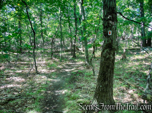 LeGrande Hill Loop – Ramapo Mountain State Forest