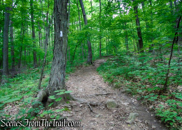 Appalachian Trail - Pawling, NY
