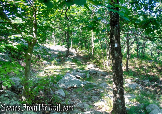 Castle Loop Trail – Ramapo Mountain State Forest