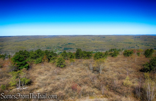 Looking west from the Roosa Gap Fire Tower