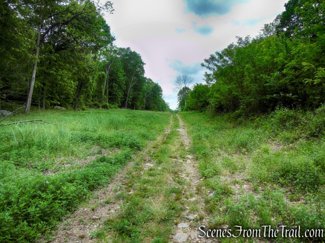 Sherwood Path - Harriman State Park