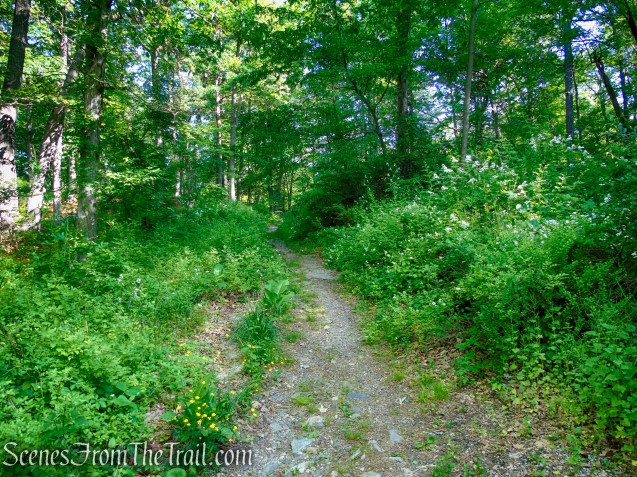 Appalachian Trail - West Mountain
