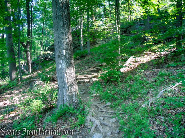 Appalachian Trail - West Mountain