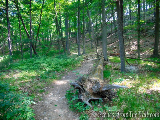Appalachian Trail – West Mountain