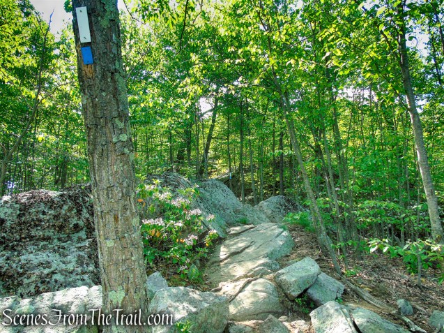 Coaligned AT/Timp-Torne Trails – West Mountain