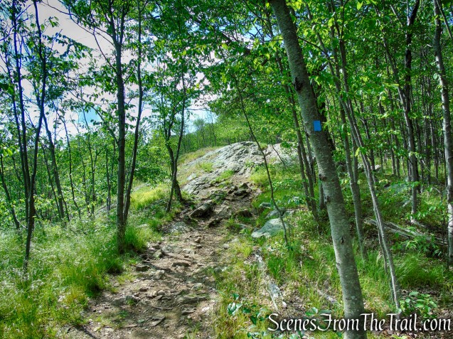 Timp-Torne Trail – West Mountain