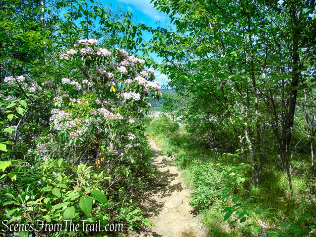 Timp-Torne Trail – West Mountain