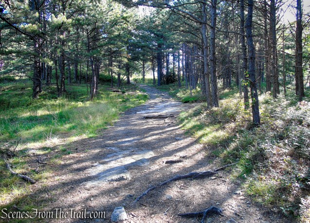 Bullwheel Trail - Minnewaska State Park Preserve