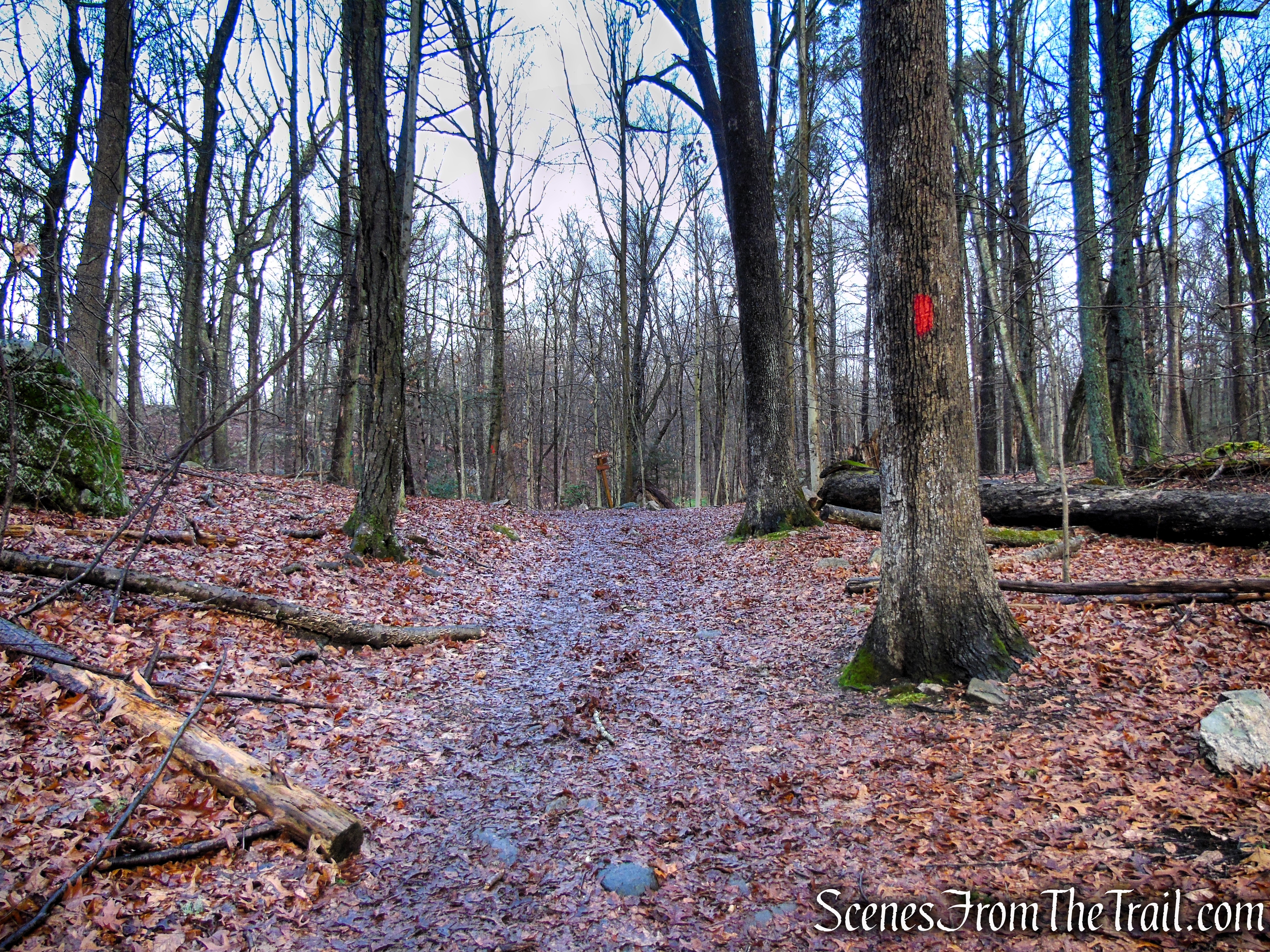 Red Trail - Pomerance Park